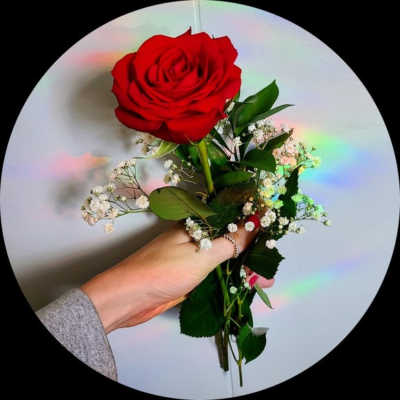 roseysrandoms